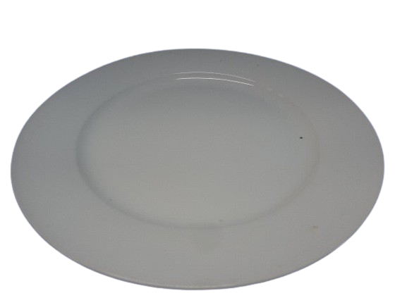Porcelain Dinner Plate10 inch