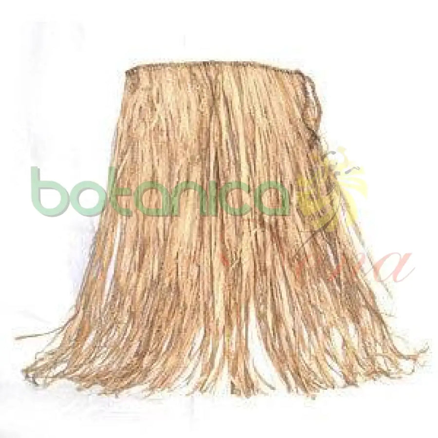 Maribo (Mariwo) de Palma - Botanica Nena