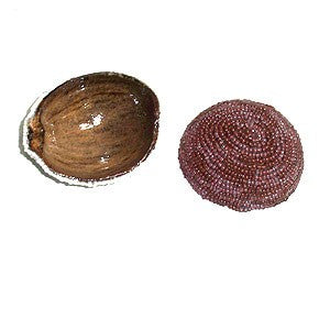 Jicara in coconut lined with beads for Oya