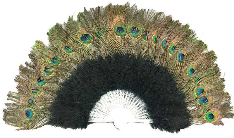 Plumas de Pavo Real  Peacock feathers, Peacock, Peacock pictures
