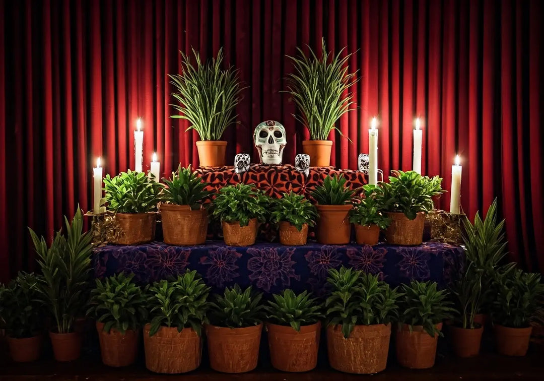 10 Tips for Incorporating Espanta Muerto into Your Rituals
