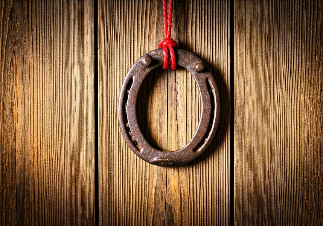 What Role Does a Horseshoe Play in Spiritual Practices?