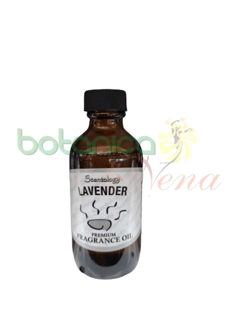 Lavender Fragance Oil 60 ml - Botanica Nena