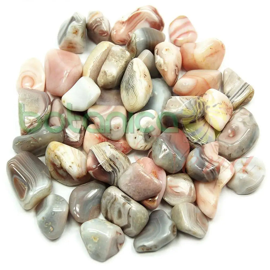 Agata (1 pieza) - Botanica Nena