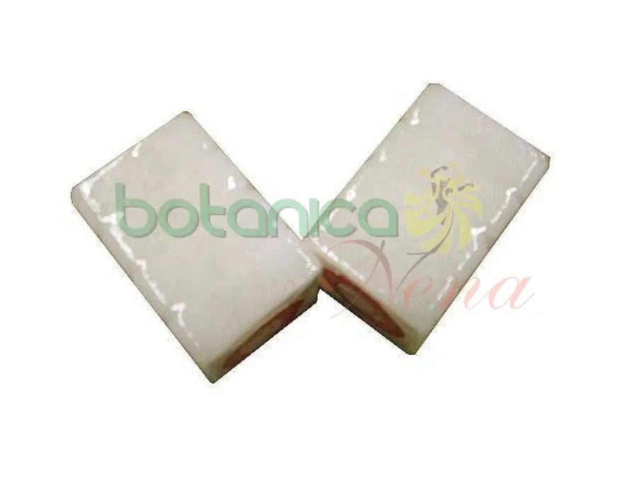 Alcanfor - Botanica Nena