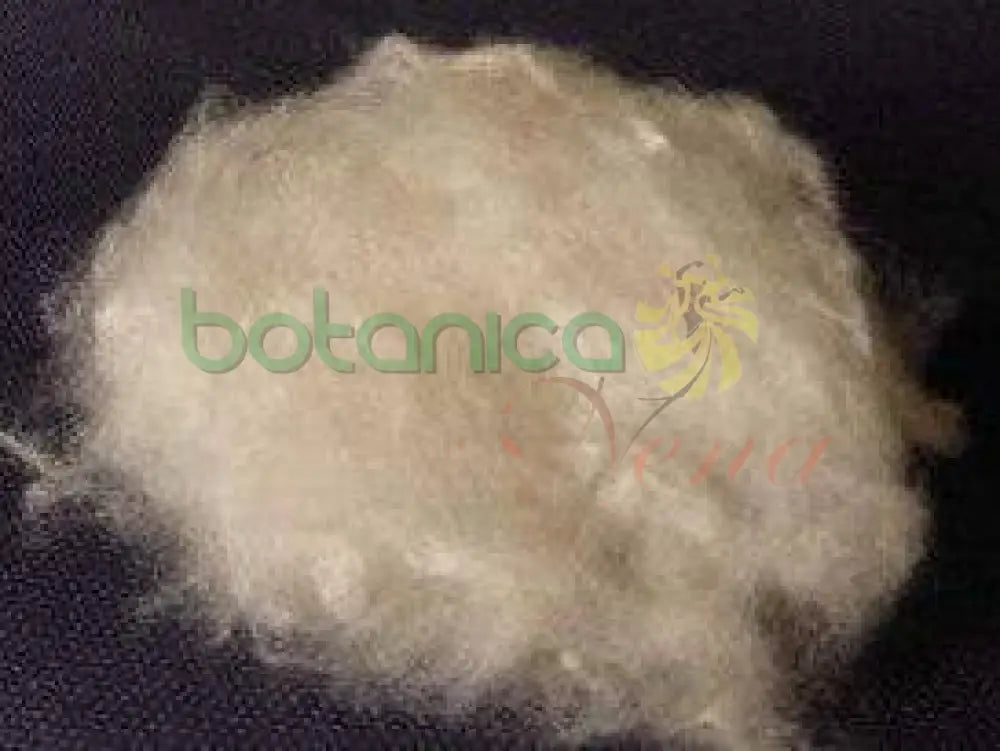 Algodon De Ceiba - Botanica Nena