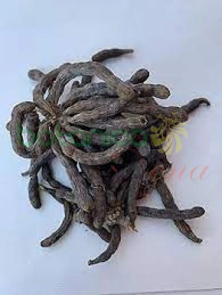 Ashe Eru - Botanica Nena