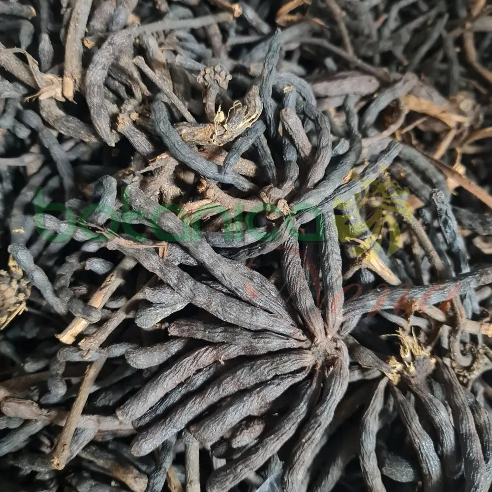 Ashe Eru - Botanica Nena