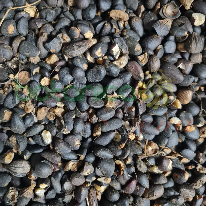 Ashe Obbi Obi - Botanica Nena