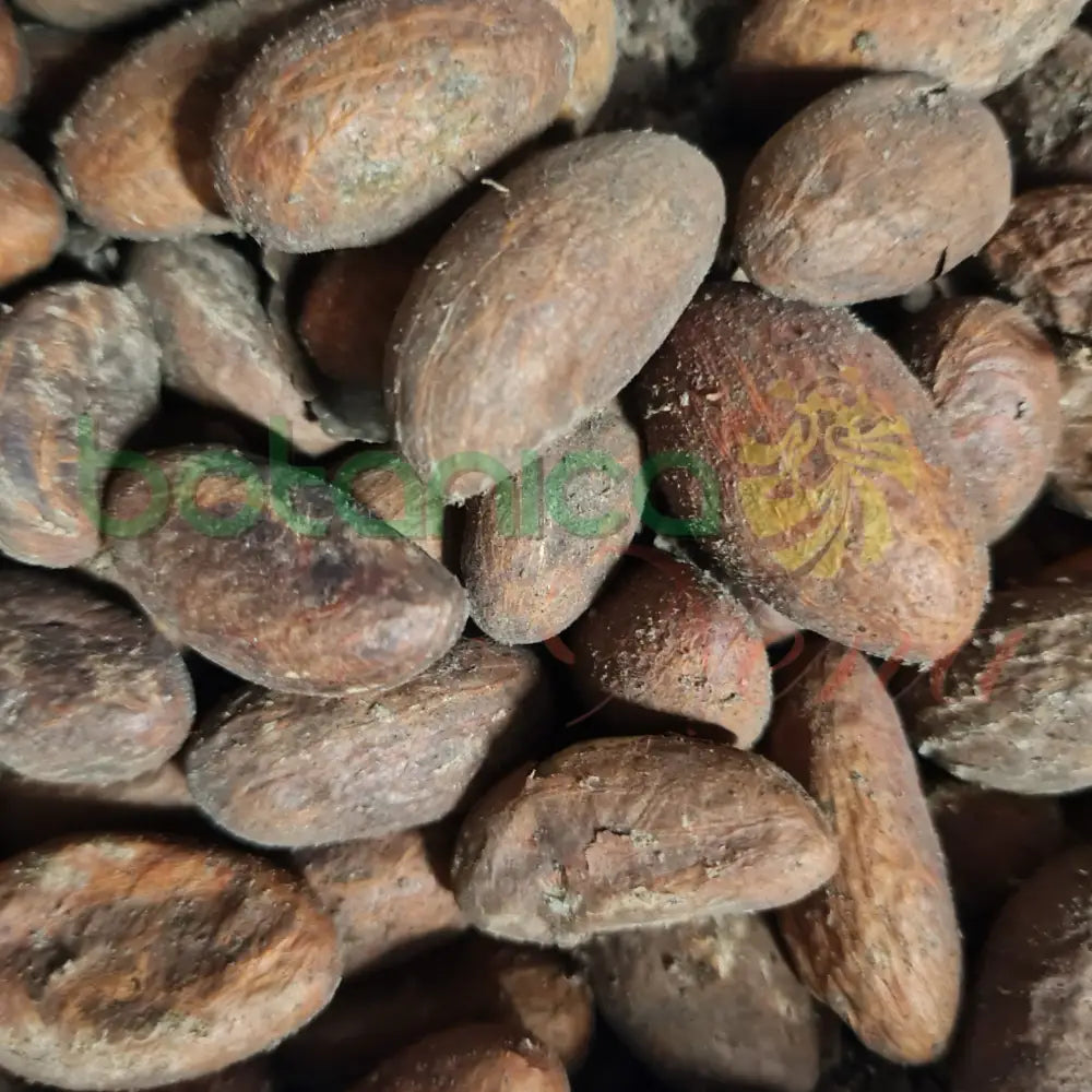 Ashe Orogbo (1 pieza) - Botanica Nena