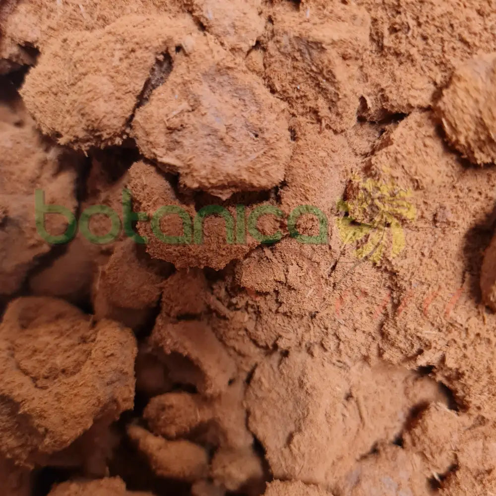 Ashe Osun Naburo - Botanica Nena