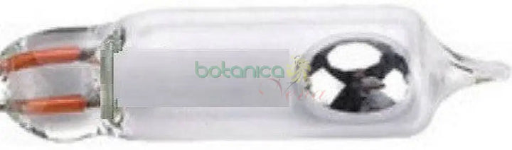 Azogue (Mercurio) - Botanica Nena