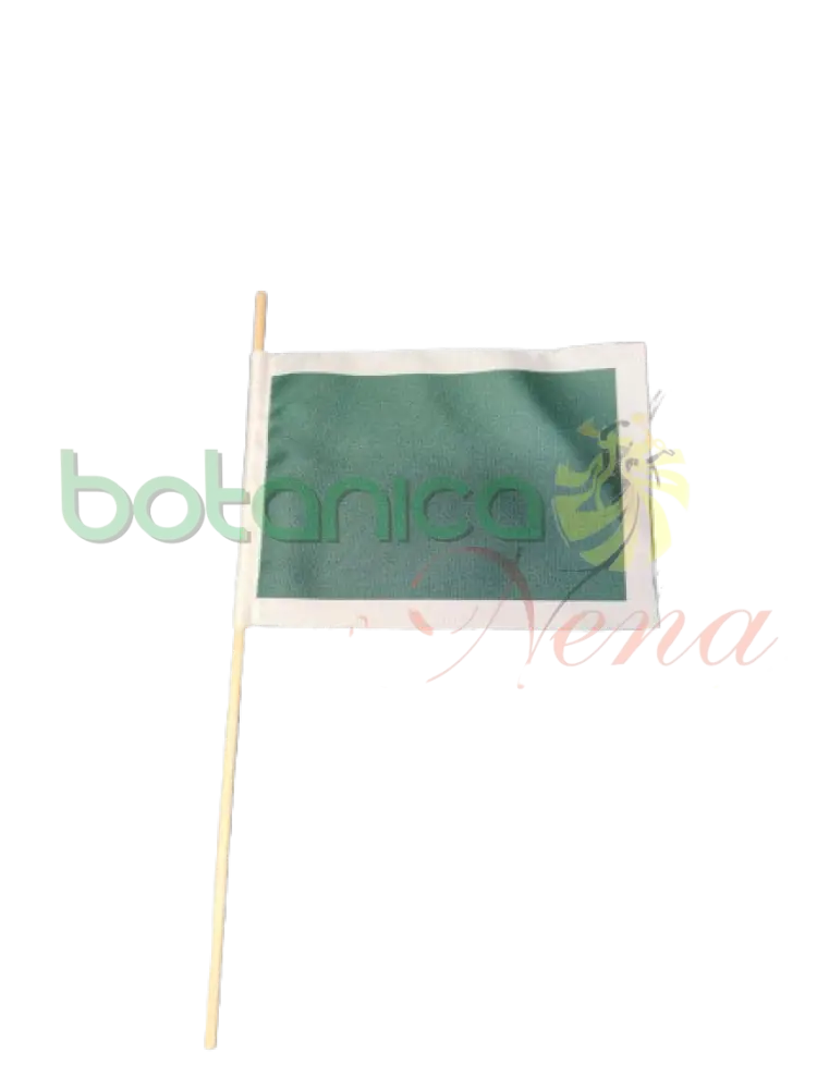 Bandera del año