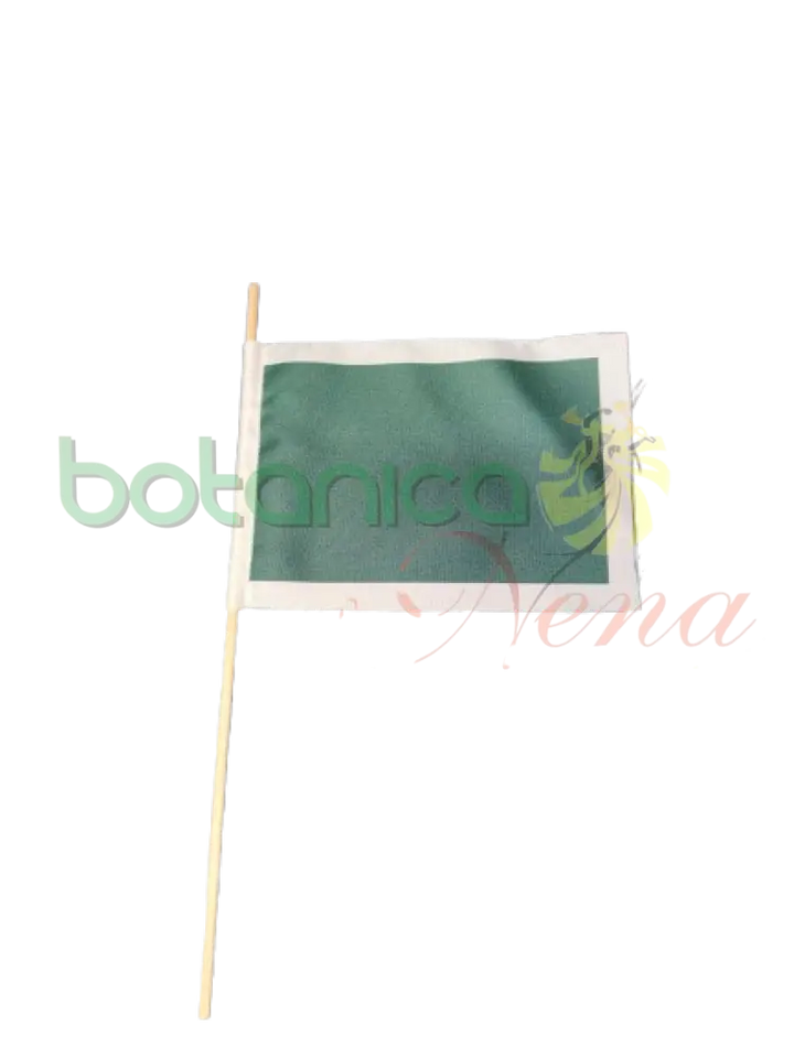 Bandera del año
