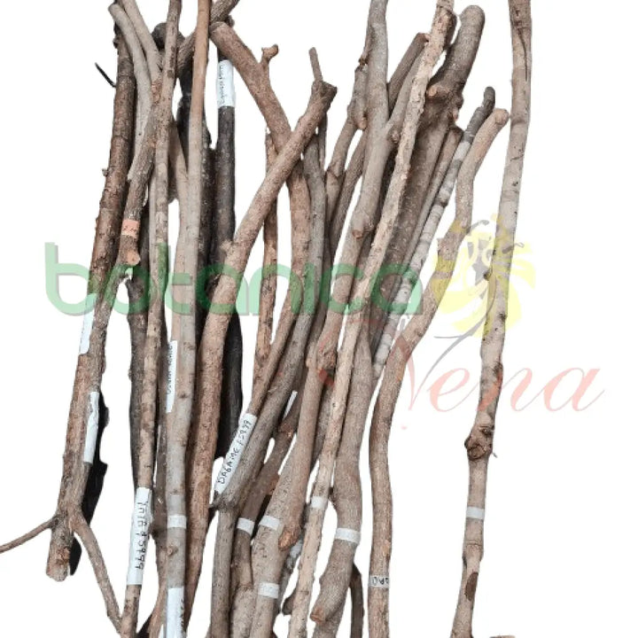 Bastones de Palo 6 ft Aprox - Botanica Nena