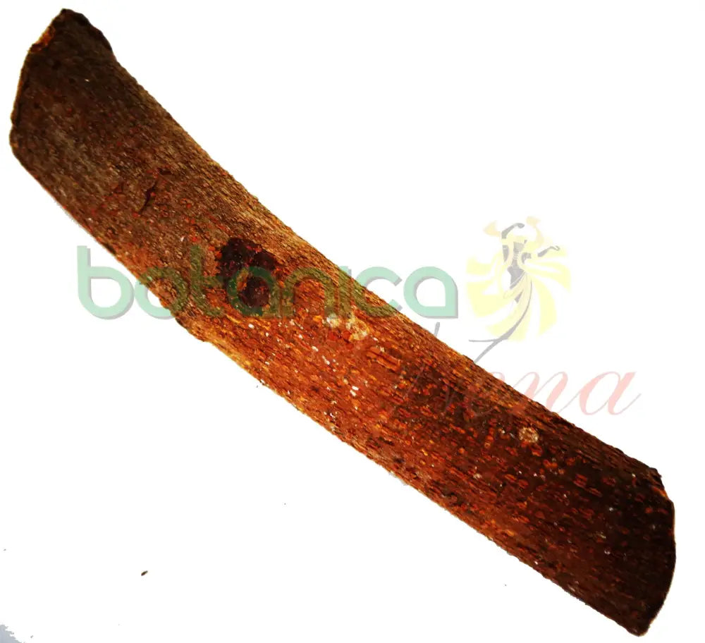 Bastones de Palo 6 ft Aprox - Botanica Nena