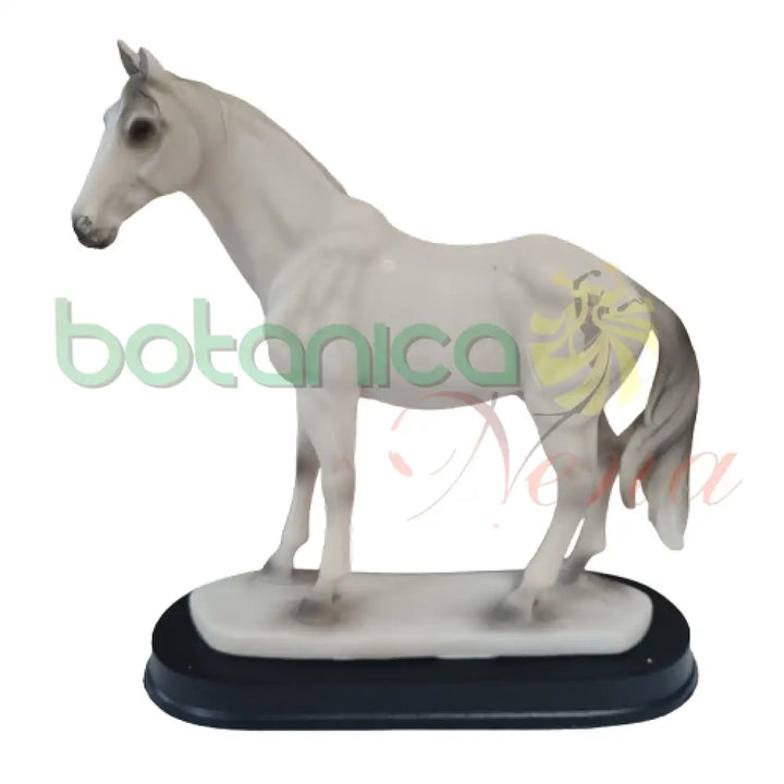 blanco horse Caballo Blanco
