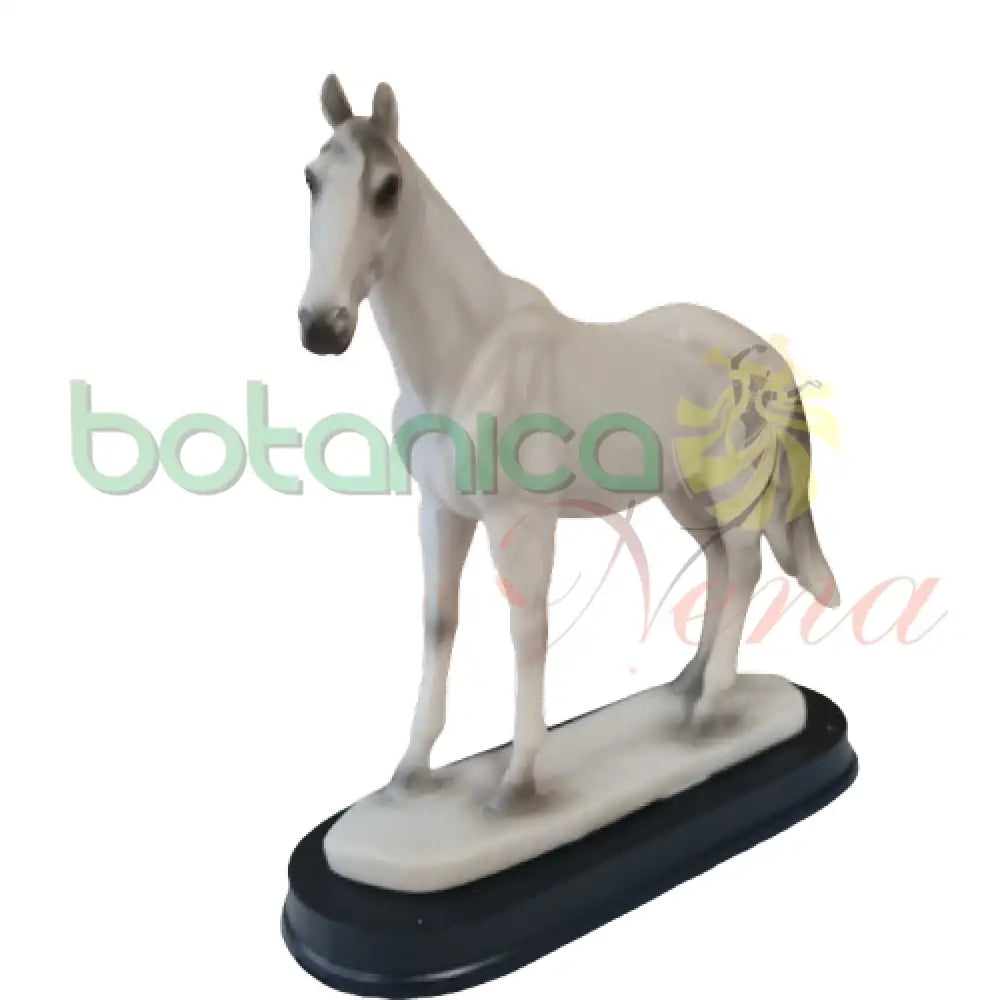 blanco horse Caballo Blanco
