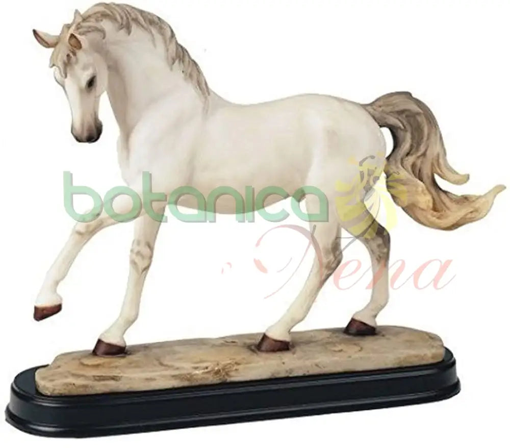 blanco horse Caballo Blanco Pata levantada