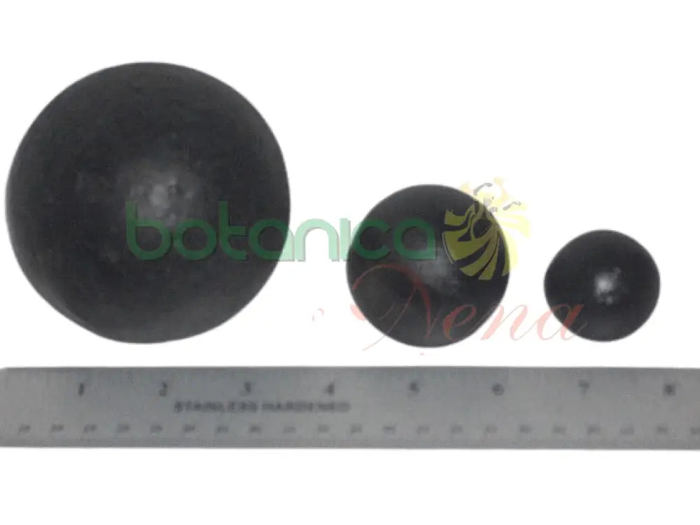 Bola de Hierro - Botanica Nena