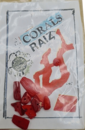 Coral Rojo - Botanica Nena