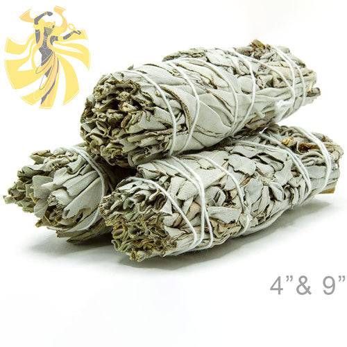 Salvias Secas - Sage - Botanica Nena