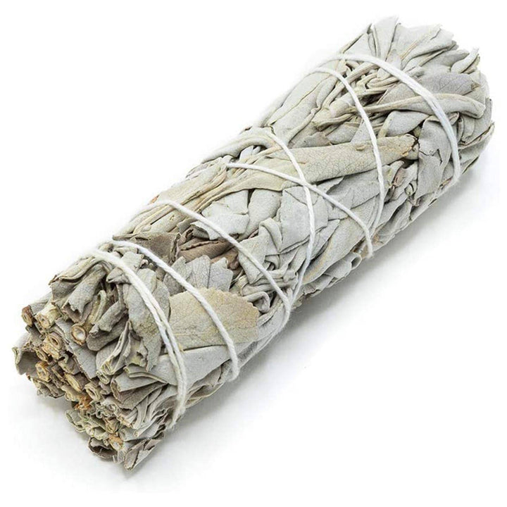 Salvias Secas - Sage - Botanica Nena