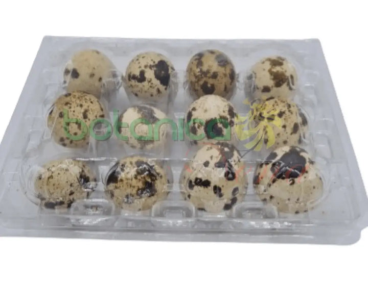Caja Huevos de Codorniz - Botanica Nena
