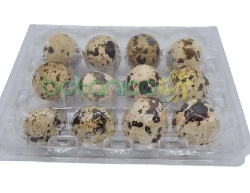 Caja Huevos de Codorniz - Botanica Nena
