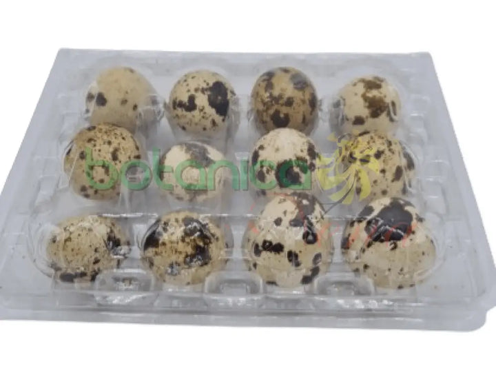 Caja Huevos de Codorniz - Botanica Nena