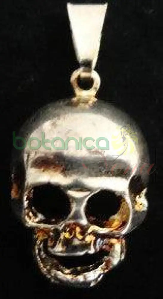 Calavera Baño de Plata 1"H - Botanica Nena