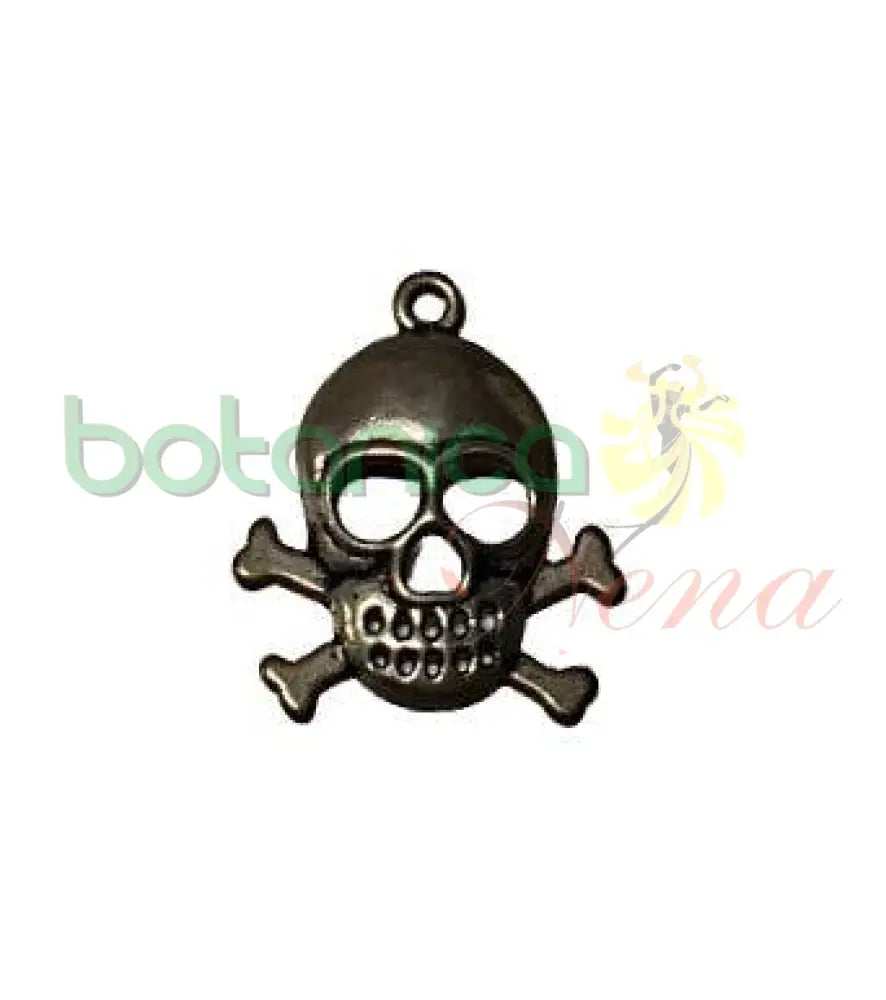 Calavera metal 1" - Botanica Nena