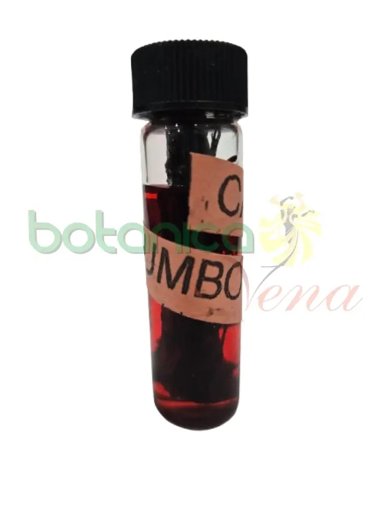 Cambia Rumbo Aceite con palo mini redondo 1 oz