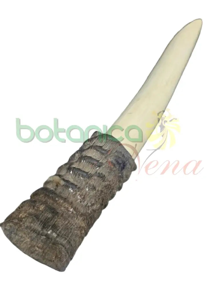 Campana Marfil con Tarro Antilope Grande con tarro Atilooe 12’’H x 1.5’’W