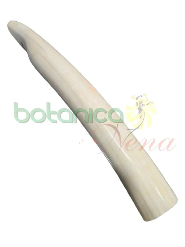 Campana Marfil con Tarro Antilope Grande sin tarro 10’’H x 1.3’’W