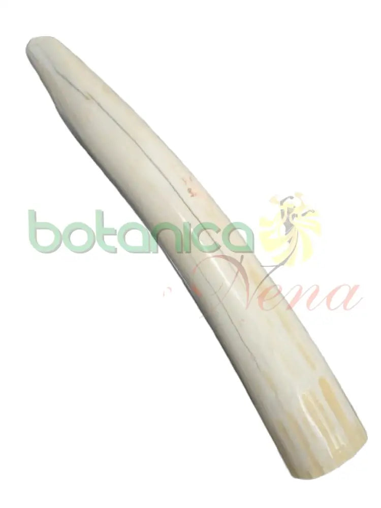 Campana Marfil con Tarro Antilope Grande sin Tarro 11’’H x 1.8’’W x 1.5’’D