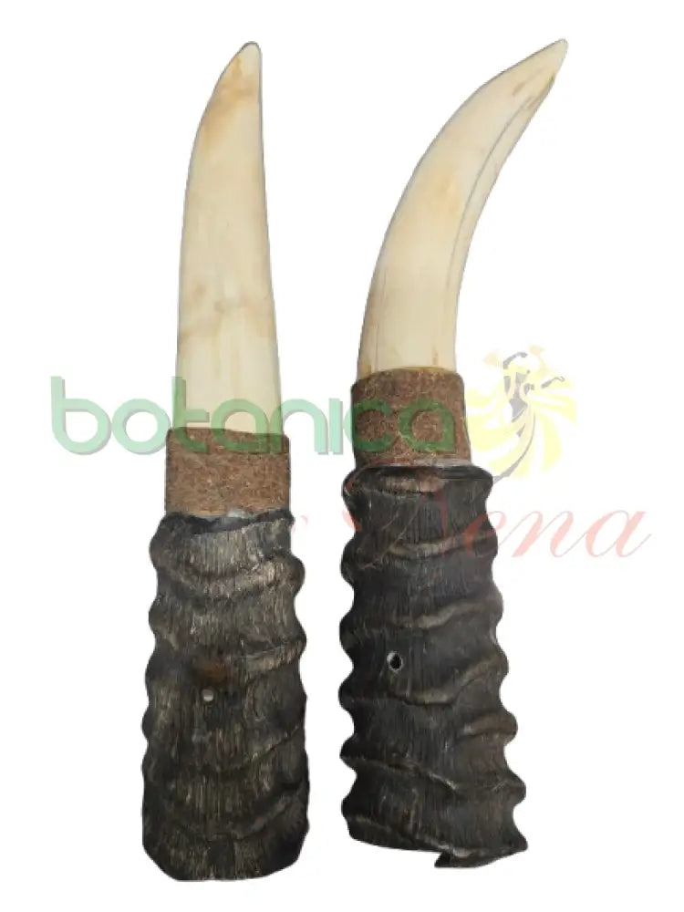 Campana Marfil con Tarro Antilope Pequeno con tarro Atilooe 9’’H x 1’’W