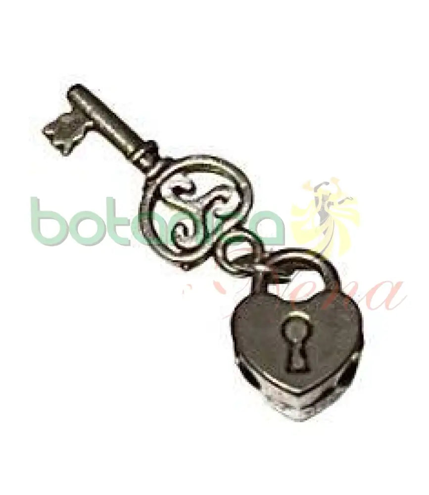 Candado con Llave Pequeño metal 0.4"H - Botanica Nena