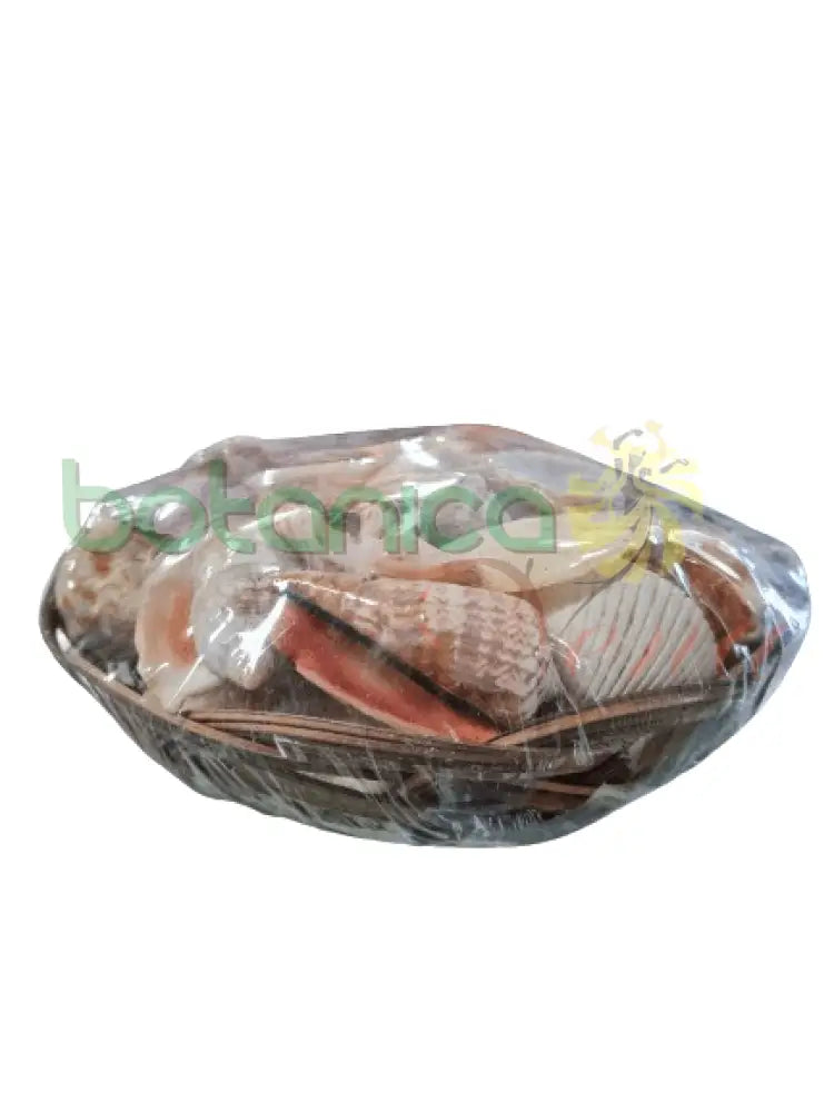 Carga de Olokun Grande 8" - Botanica Nena