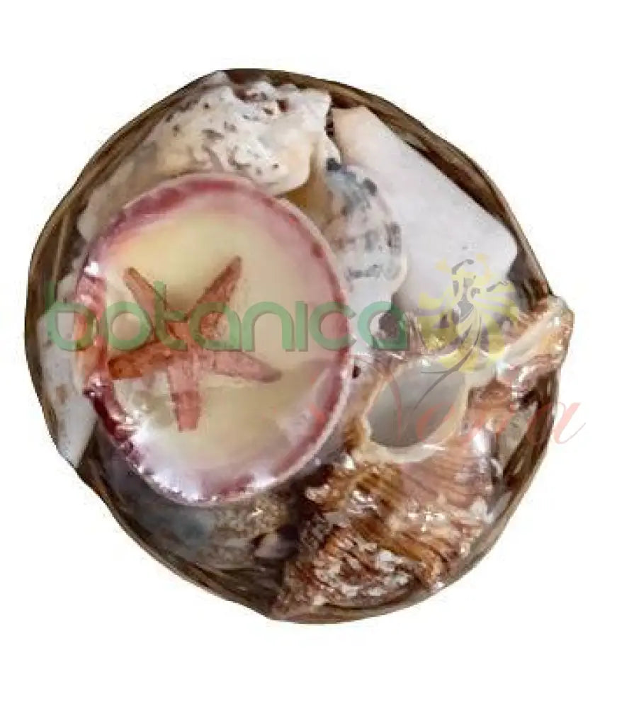 Carga de Olokun Mediana 6’’