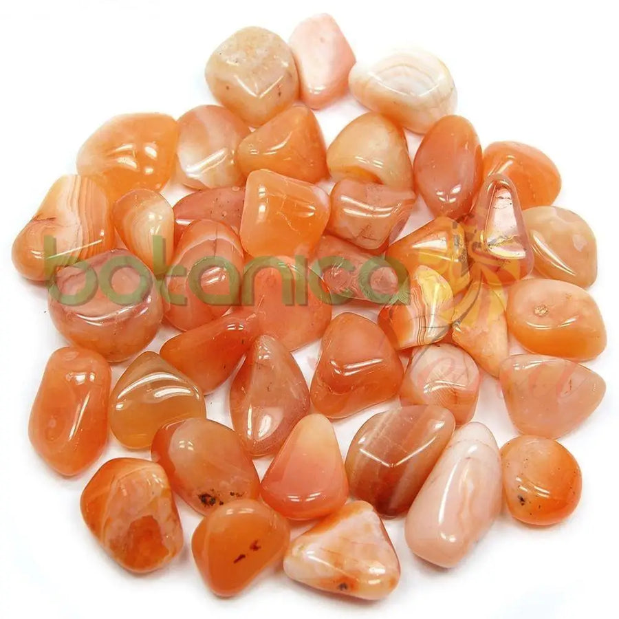 Carnellian (1 piece) - Botanica Nena