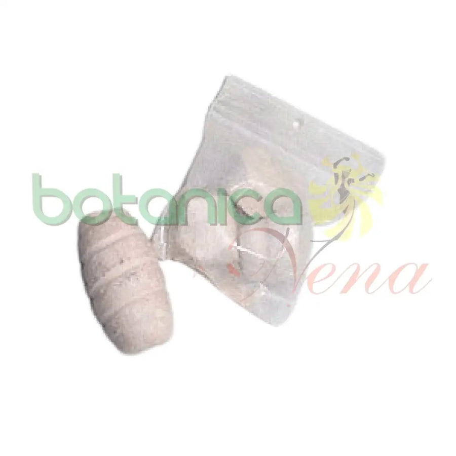 Cascarilla Africana (1 piece) - Botanica Nena