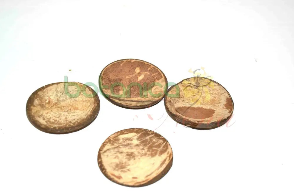 Chamalongos - Set of 4 - Botanica Nena