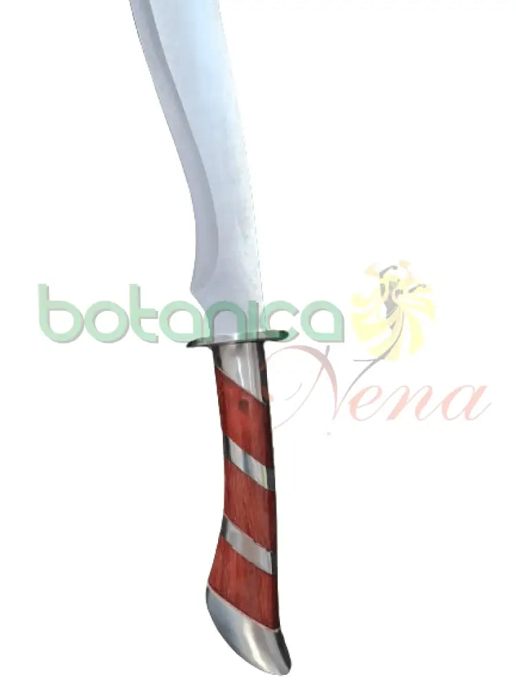 Cimitarra - Botanica Nena