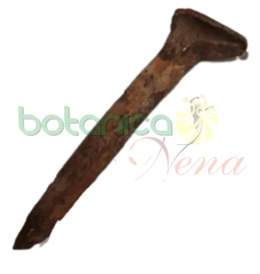 Clavo de linea Usado 6" a 7"Alto - Botanica Nena