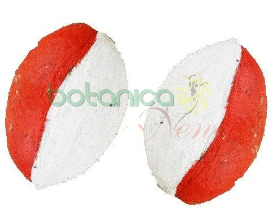 Cocos para Orishaoko pintados (par) - Botanica Nena