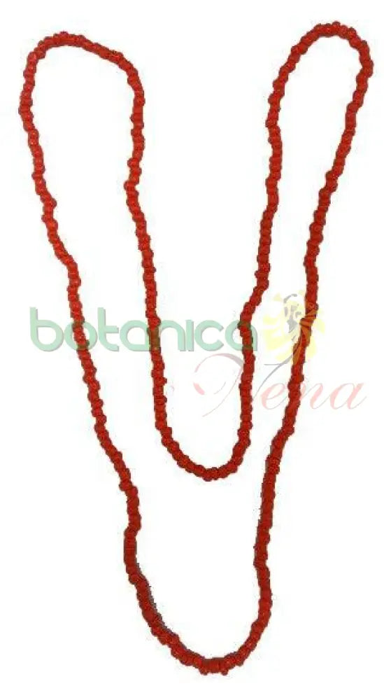 Collar (Eleke) Iroso regular - Botanica Nena