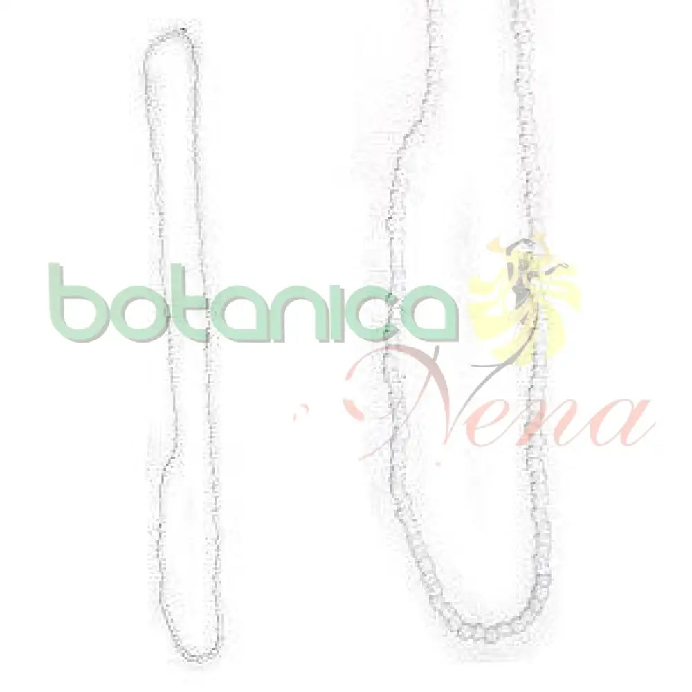 Collar (Eleke )Obbatala Regular - Botanica Nena