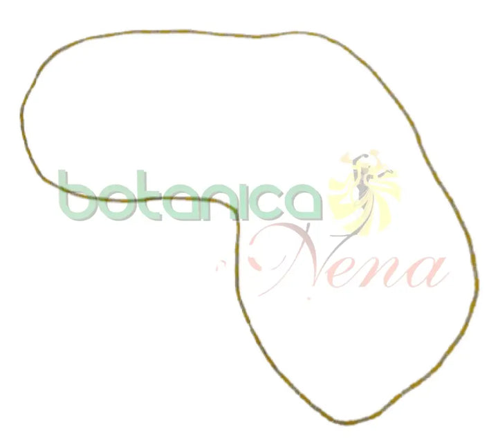Collar (Eleke) Oshun Fino - Botanica Nena