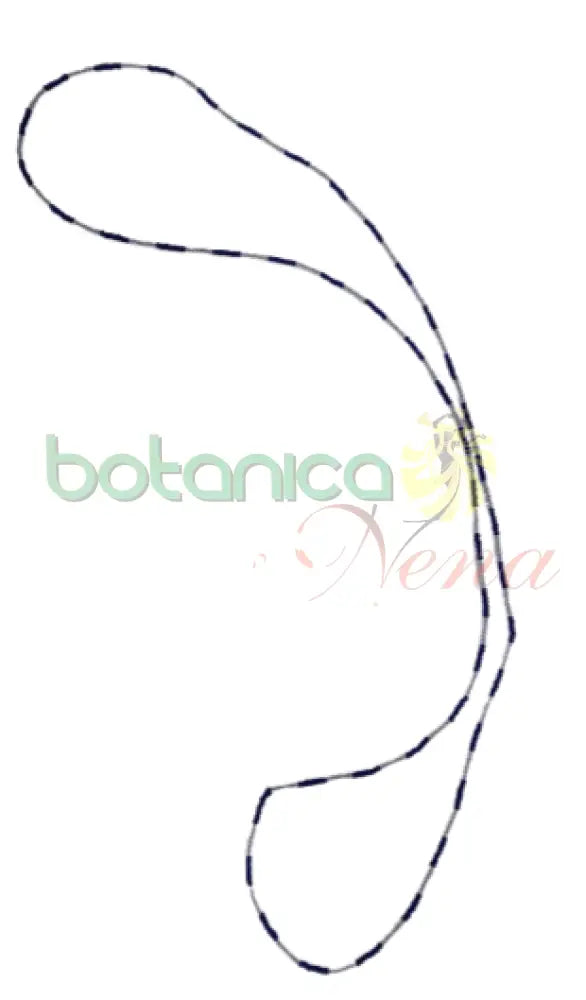 Collar (Eleke) Yemaya Fino - Botanica Nena